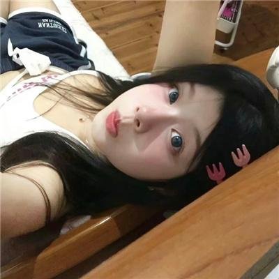 狗狗与我的十个约定